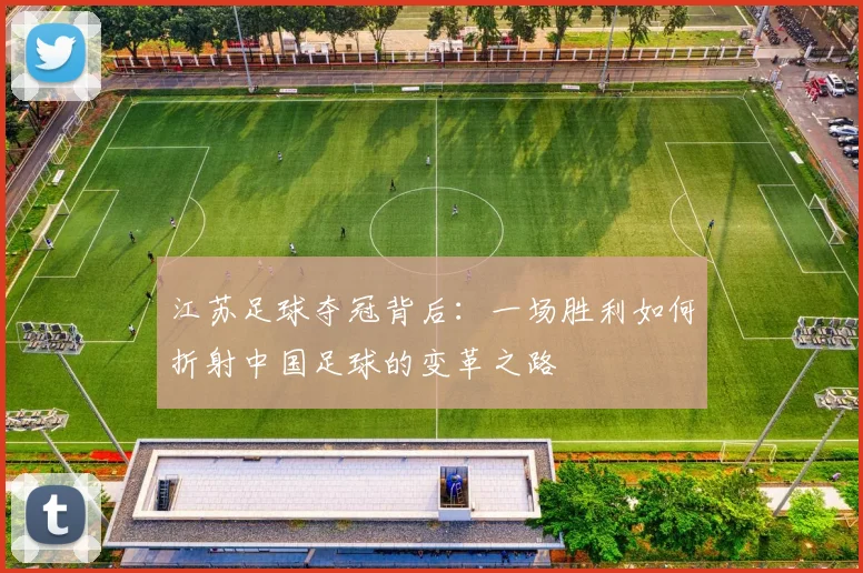 江苏足球夺冠背后:一场胜利如何折射中国足球的变革之路